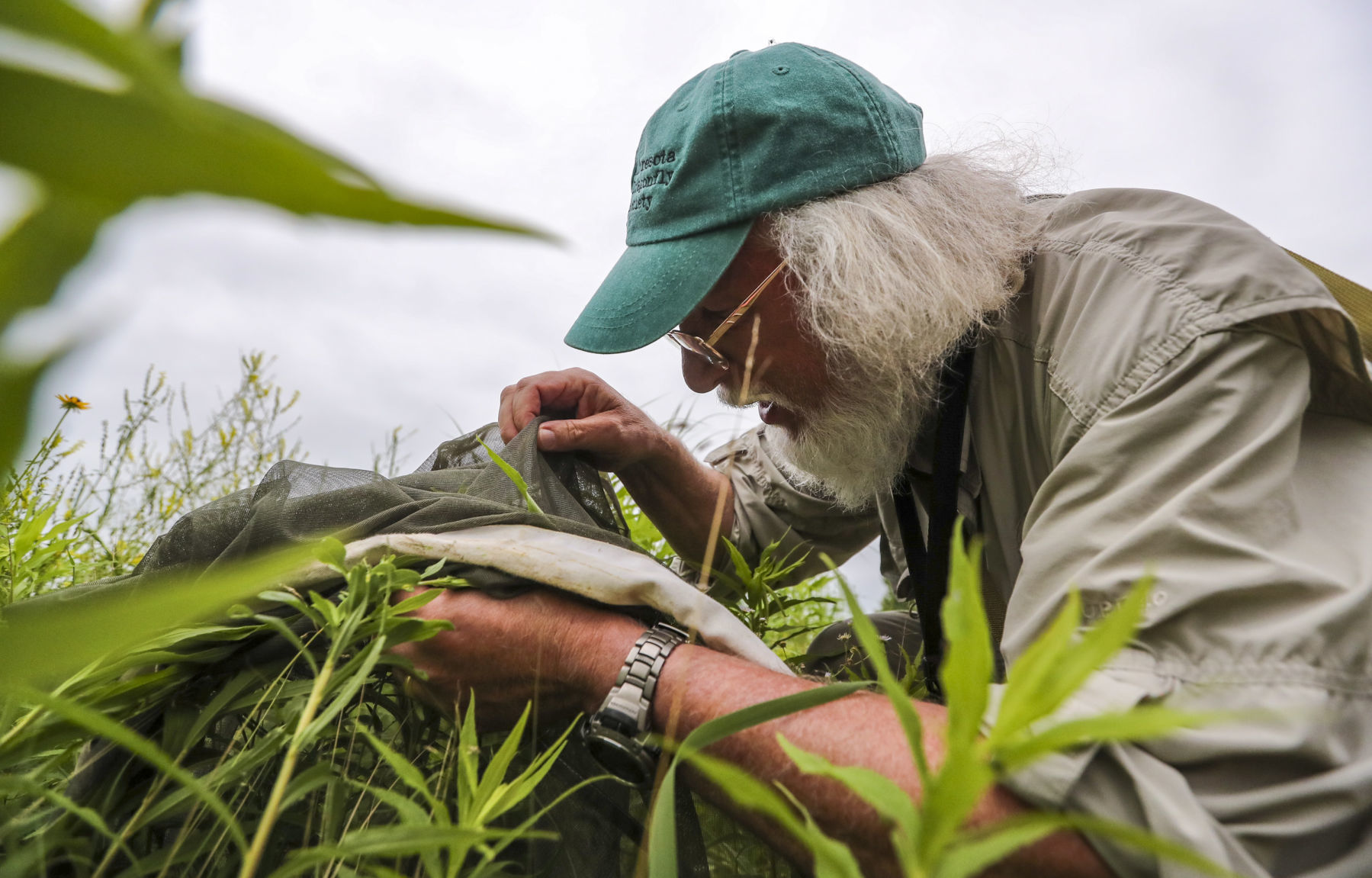 062218-qct-bioblitz-001